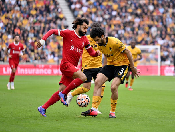 球队内部的 球队内部的